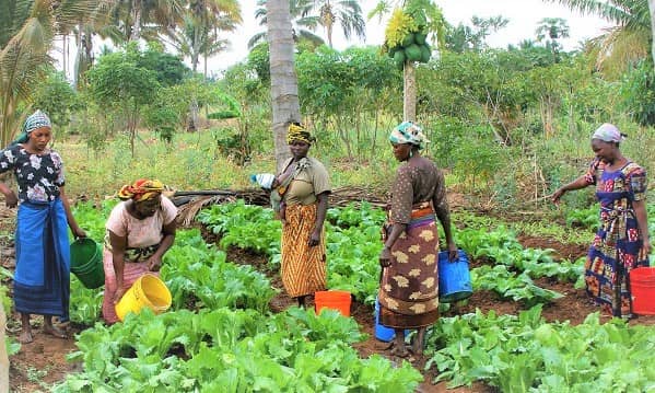 africa women farming workshop